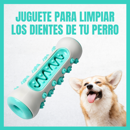 Juguete limpiador de dientes para perros