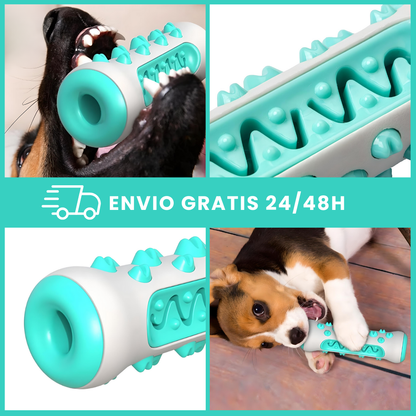 Juguete limpiador de dientes para perros