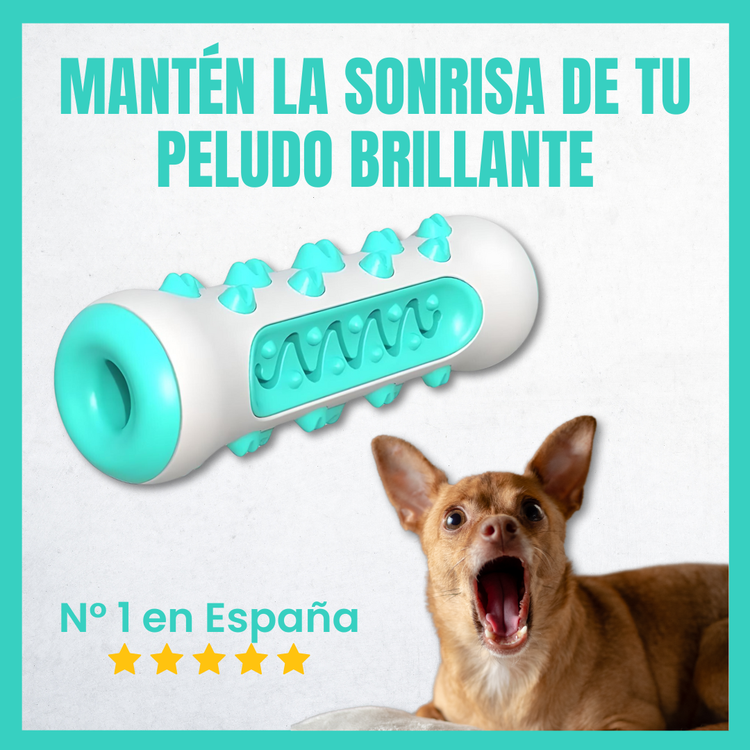 Juguete limpiador de dientes para perros