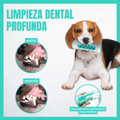 Juguete limpiador de dientes para perros